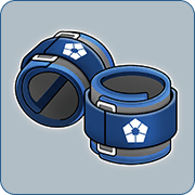 Ankle Weights