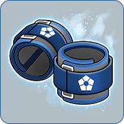 Ankle Weights