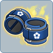 Ankle Weights